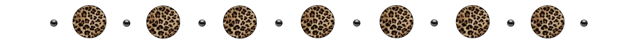 cheeta circle.png
