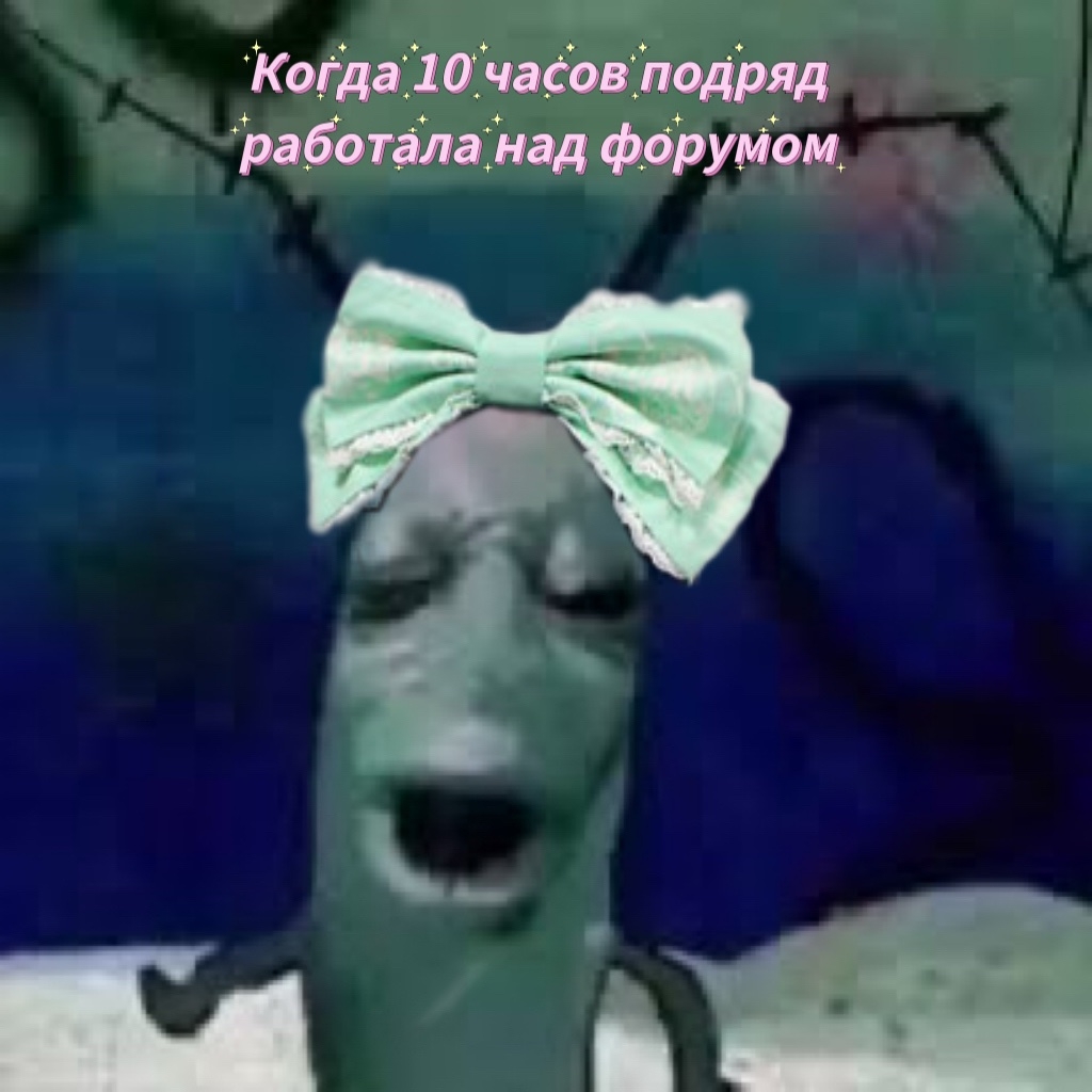 IMG_3533.jpeg