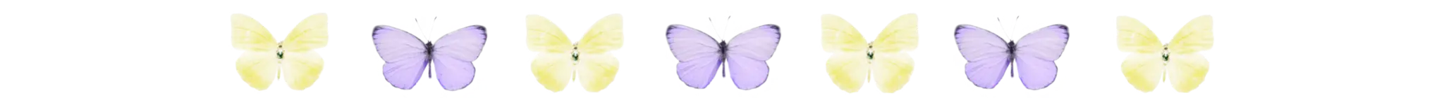 purple yellow butterfly.png