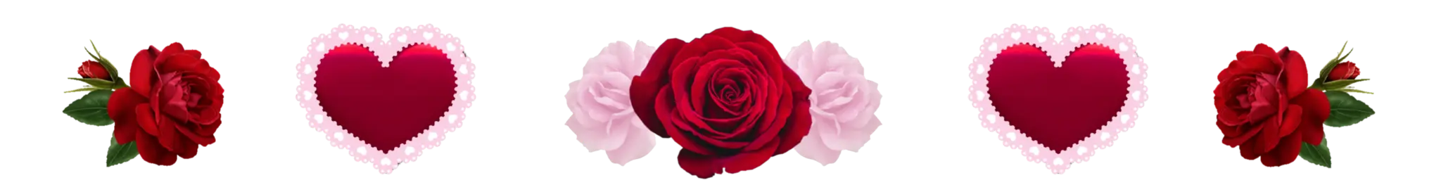 red roses a herts.png